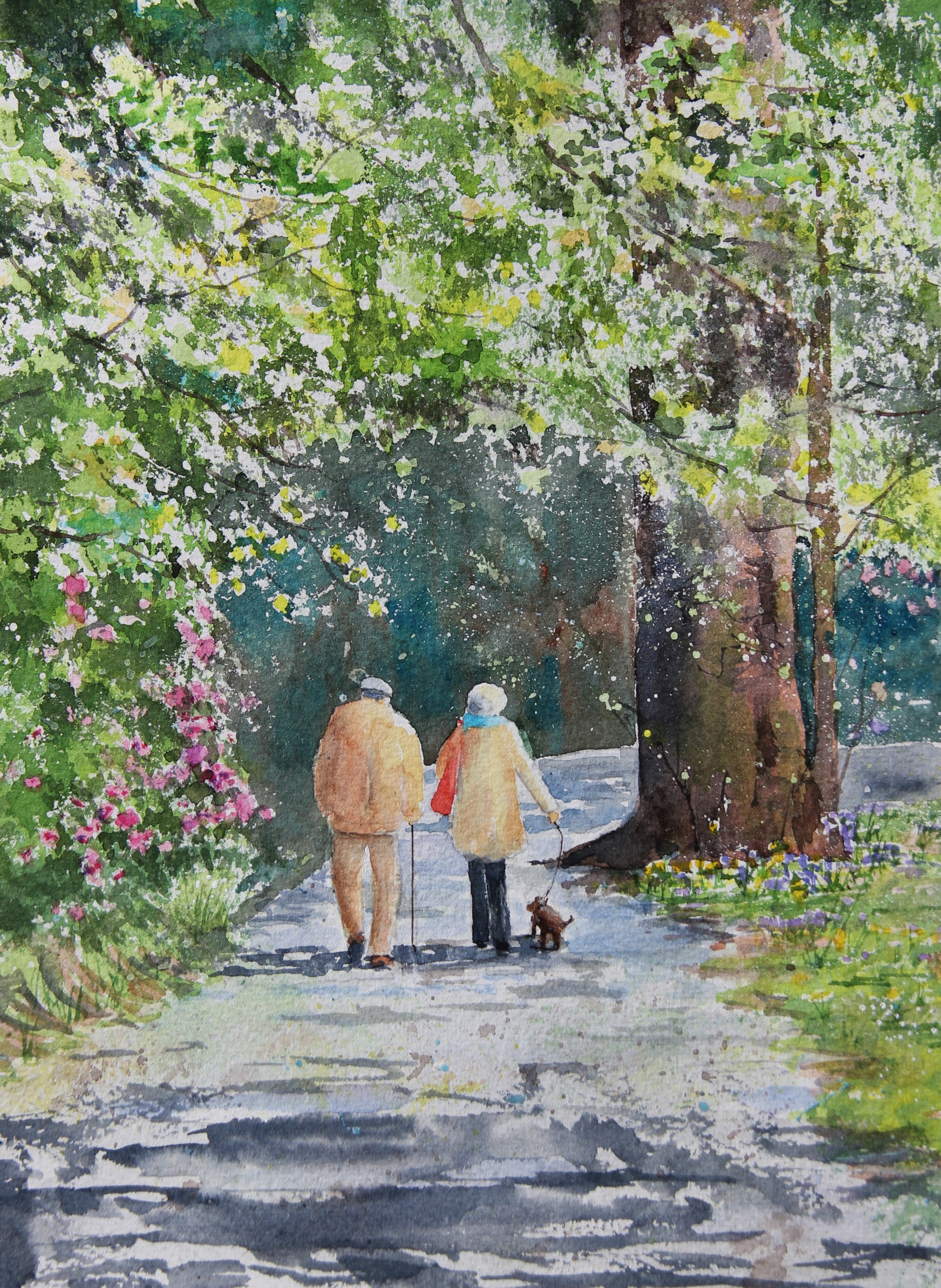Sue Bradley Wells, Somerset